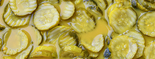 Hannah's Limited Edition Pickle Collection