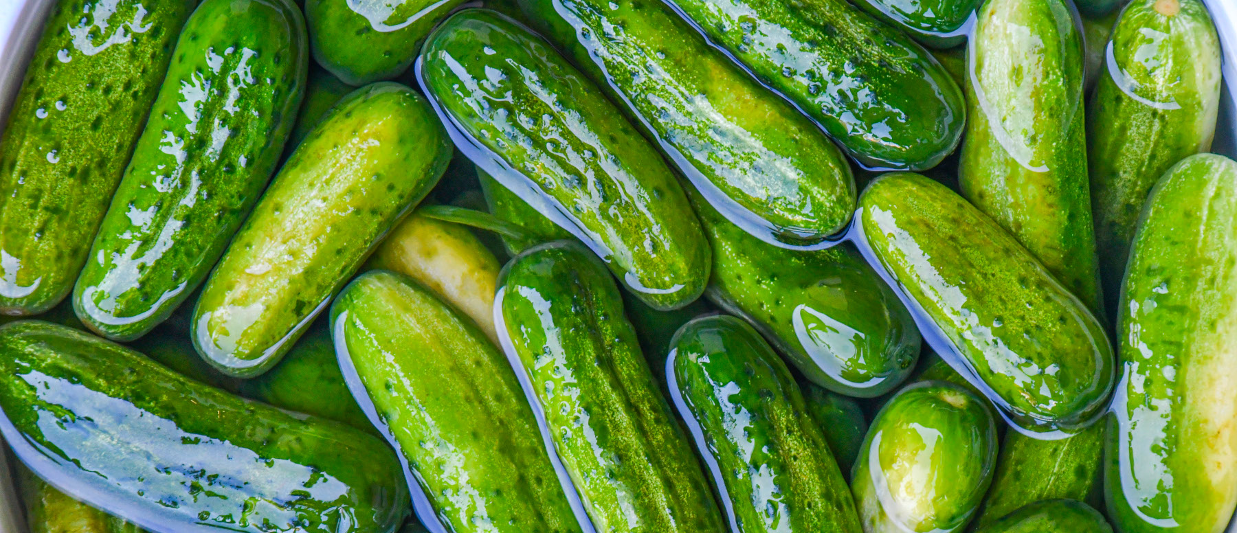 Fermented Sour Pickles